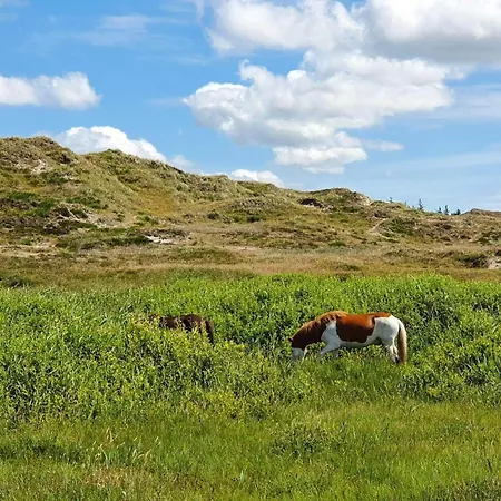 4 Person In בית נופש